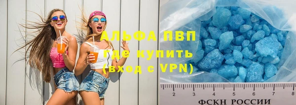сатива Горняк