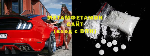 сатива Горняк