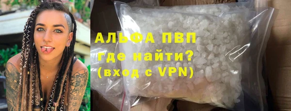 сатива Горняк