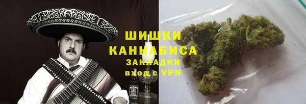 сатива Горняк