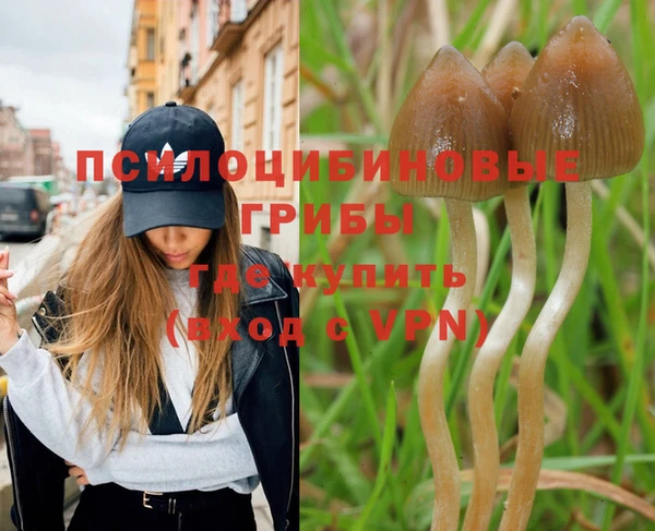MESCALINE Горно-Алтайск