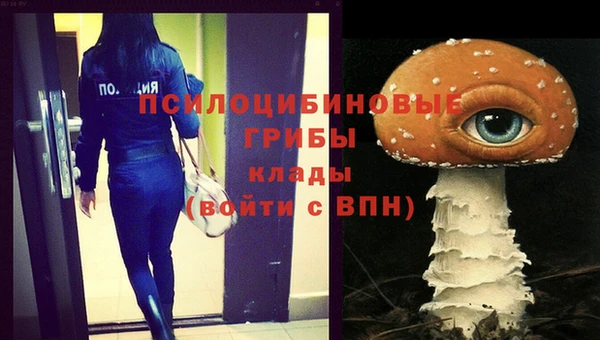 сатива Горняк