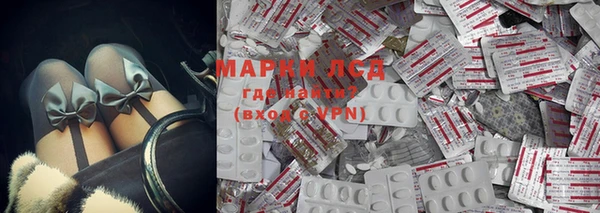 сатива Горняк
