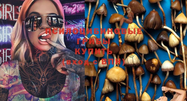 не бодяженный Горнозаводск