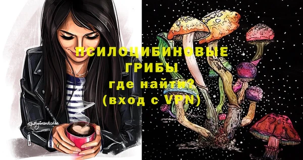 не бодяженный Горнозаводск