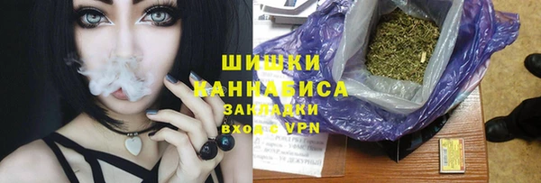 сатива Горняк