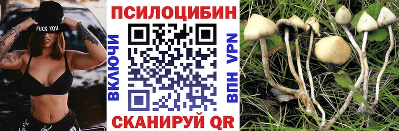 Купить  Йошкар-Ола  Псилоцибиновые грибы мицелий 